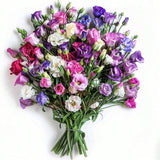 Lisianthus Mixed